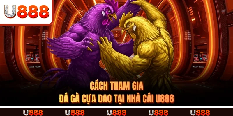 Cách Tham Gia Đá Gà Cựa Dao tại Nhà Cái U888