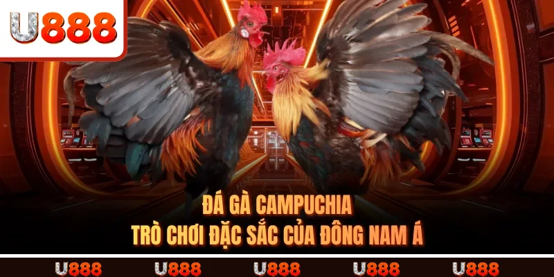 ĐÁ GÀ CAMPUCHIA - Trò chơi đặc sắc của Đông Nam Á ĐÁ GÀ CAMPUCHIA - Trò chơi đặc sắc của Đông Nam Á