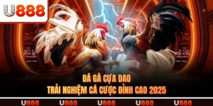 ĐÁ GÀ CỰA DAO - Trải Nghiệm Cá Cược Đỉnh Cao 2025