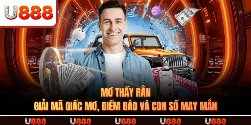 Mơ Thấy Rắn – Giải Mã Giấc Mơ, Điềm Báo Và Con Số May Mắn