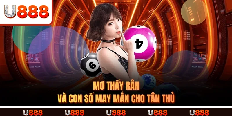 Mơ Thấy Rắn Và Con Số May Mắn Cho Tân Thủ