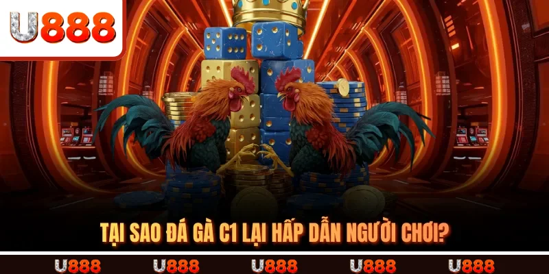 Tại Sao Đá Gà C1 Lại Hấp Dẫn Người Chơi?