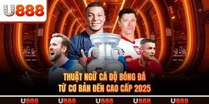 THUẬT NGỮ CÁ ĐỘ BÓNG ĐÁ - Từ Cơ Bản Đến Cao Cấp 2025